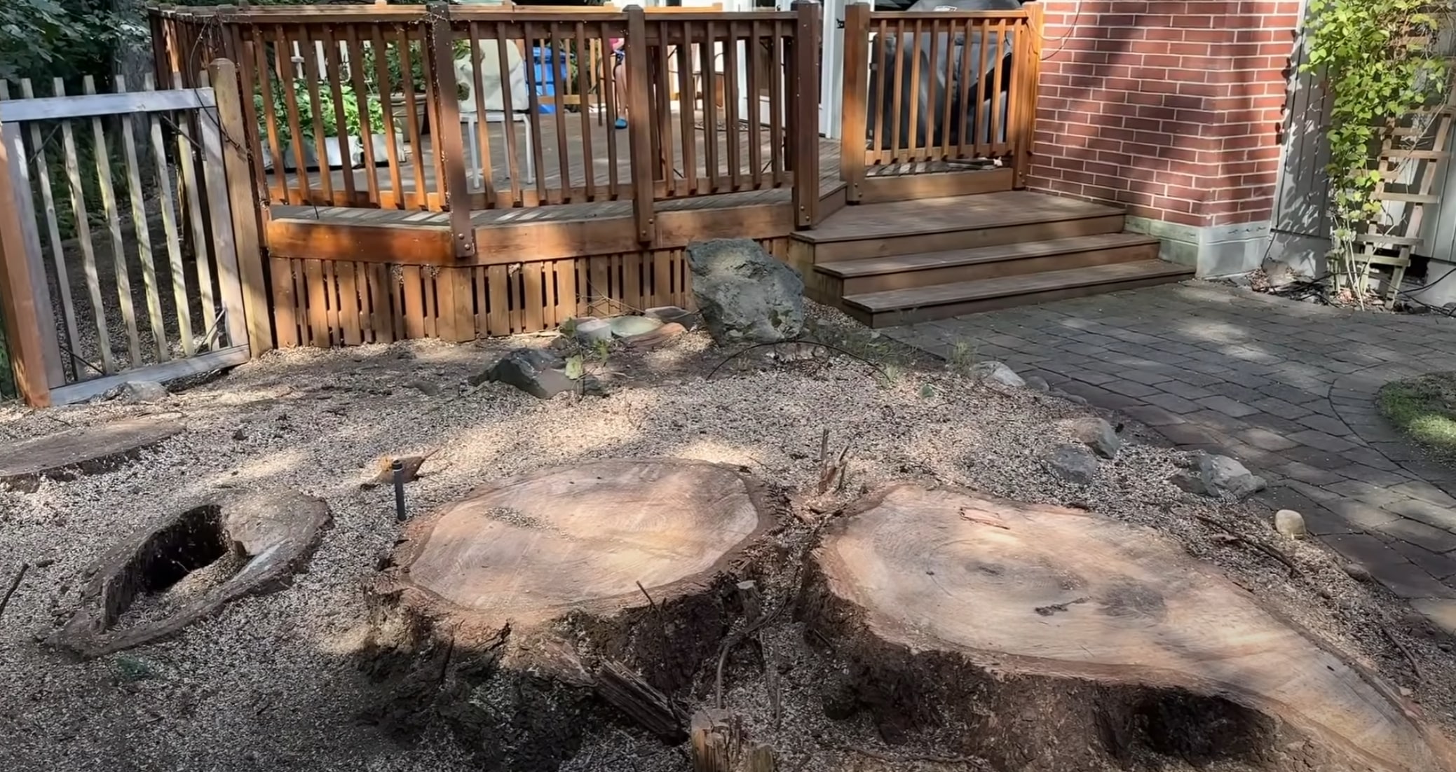 Tree stumps requiring removal in Monroeville, PA backyard