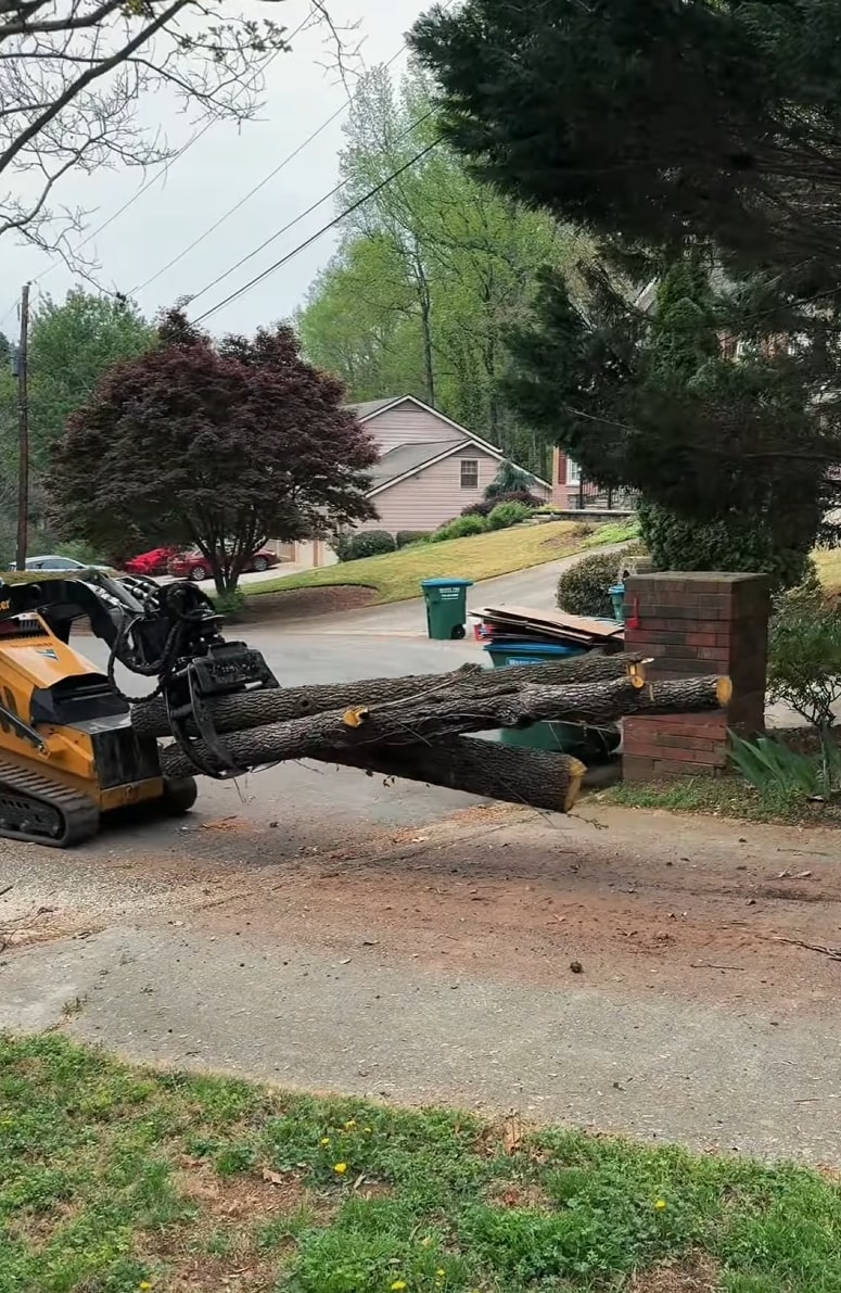 Heavy machinery loading cut tree logs for removal Heavy machinery loading cut tree logs for removal