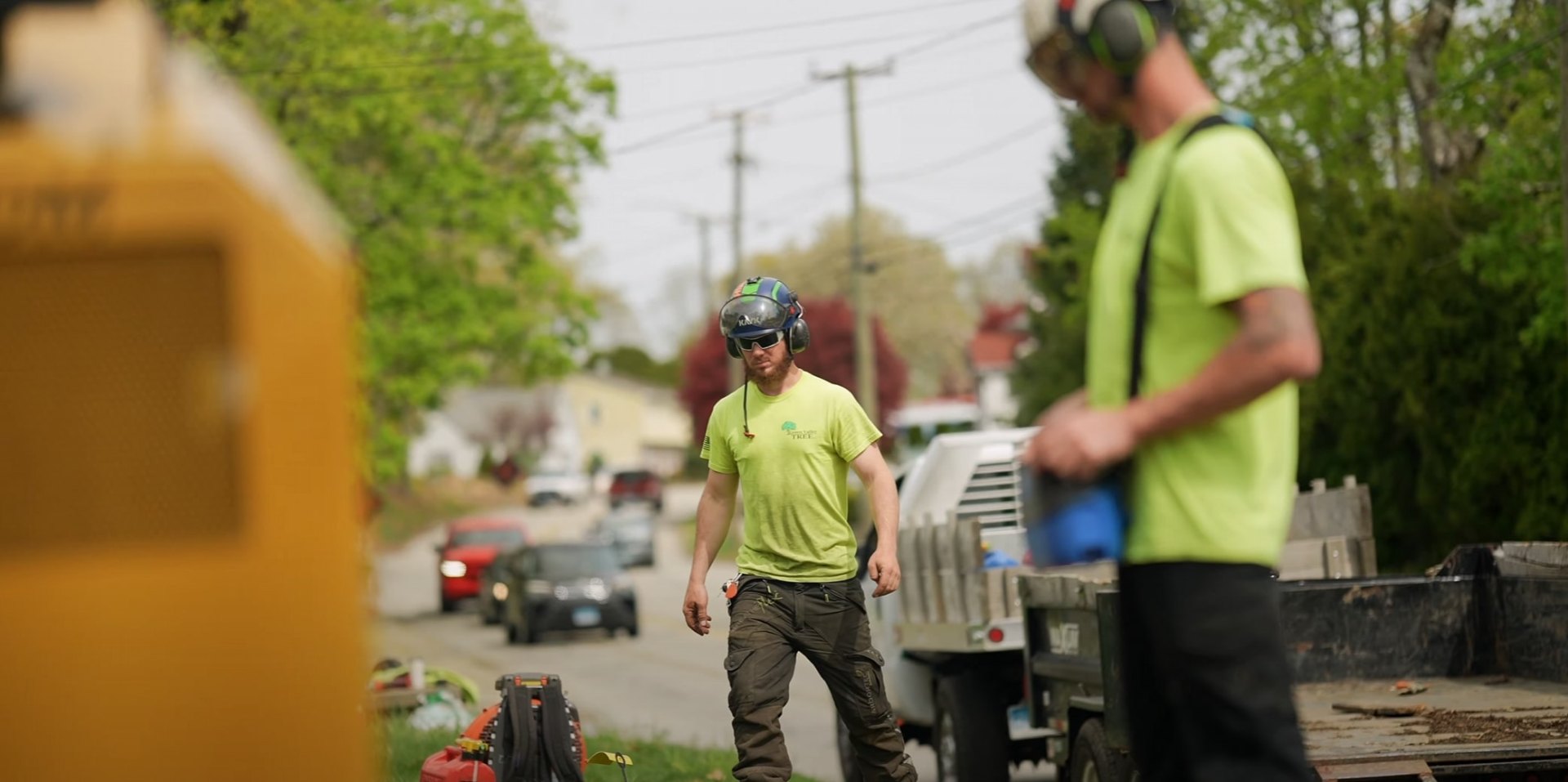 Professional tree service crew working safely with proper equipment Professional tree service crew working safely with proper equipment
