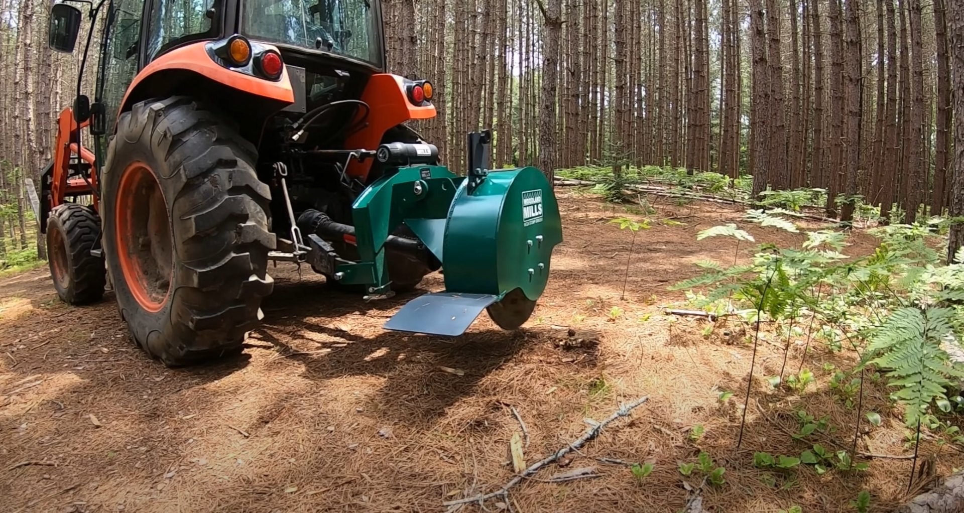 Professional tree cutting equipment working on forest clearing Professional tree cutting equipment working on forest clearing