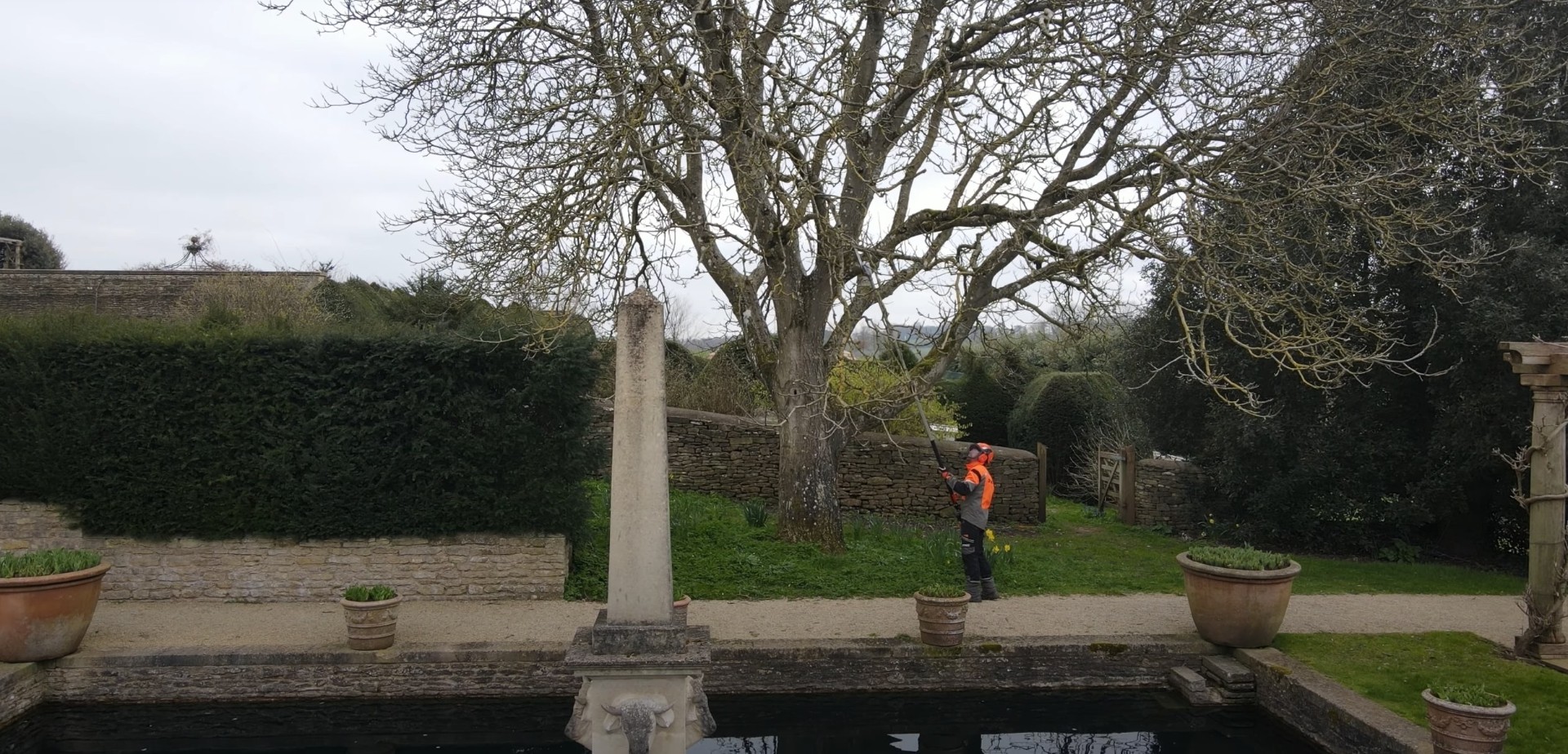 Expert tree trimming and pruning in residential landscape setting Expert tree trimming and pruning in residential landscape setting