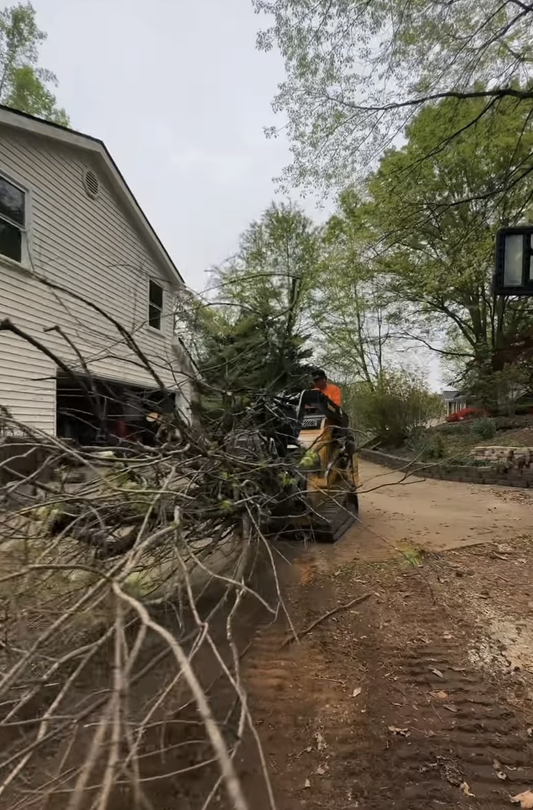 Complete tree removal and debris cleanup at residential property Complete tree removal and debris cleanup at residential property